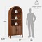 Best Choice Products 72in Tall Arched 5-Tier Bookshelf Storage Cabinet w/ Adjustable Shelves